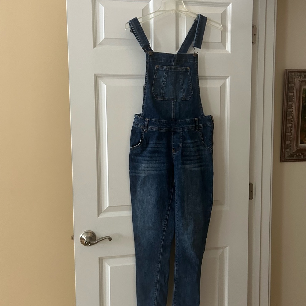 Wallflower Light and Dark Blue Denim Overalls